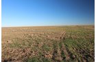 TRACT 3 - REAL ESTATE & MINERAL AUCTION - 640+/- ACRES & PRODUCING MINERALS OFFERED IN 8 TRACTS IN MORTON COUNTY, KANSAS